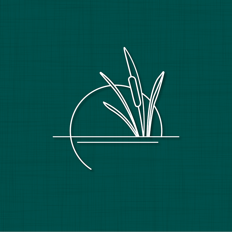 Hindsight Creative | Horizon Estate