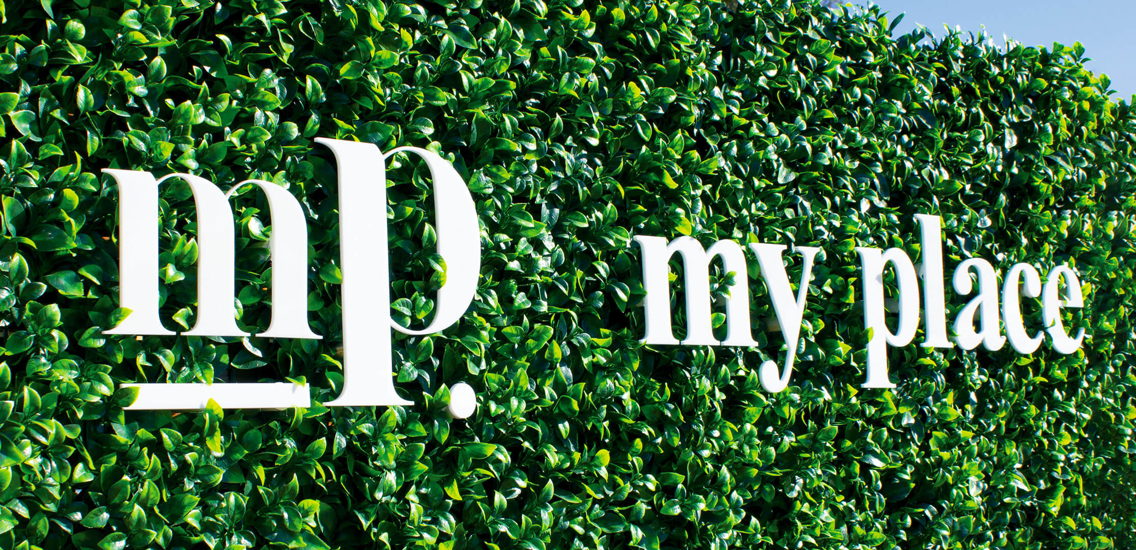 Hindsight Creative | Mt Pleasant Estate